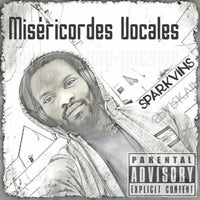 SparkvinS - Misericordes Vocales